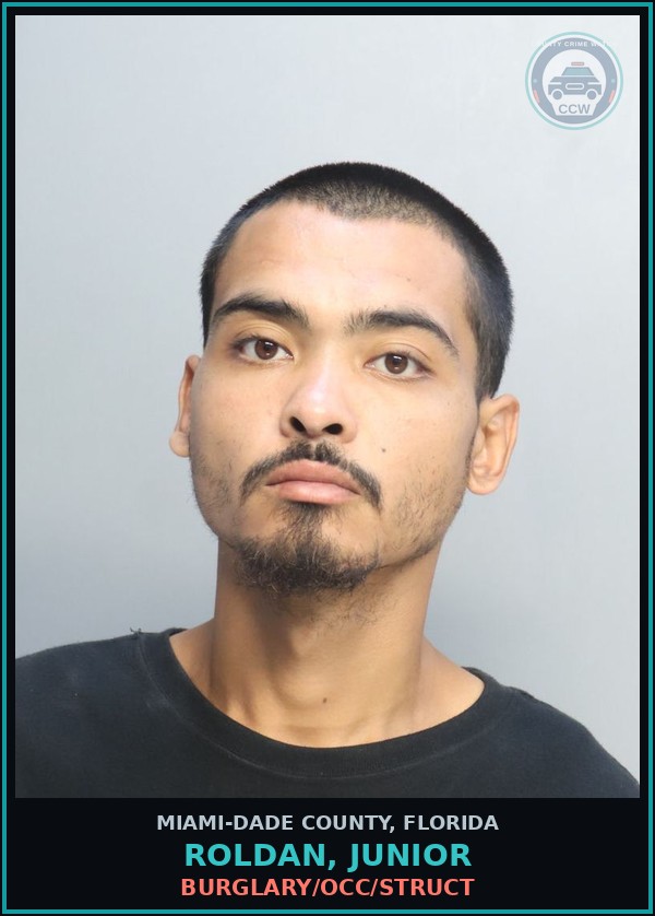 Booking mugshot of ROLDAN, JUNIOR in Miami-Dade County