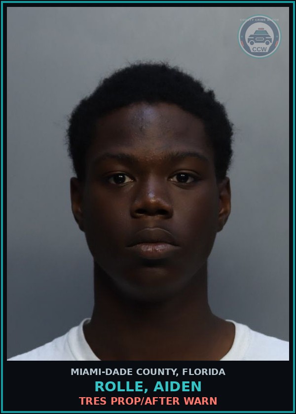 Booking mugshot of ROLLE, AIDEN in Miami-Dade County