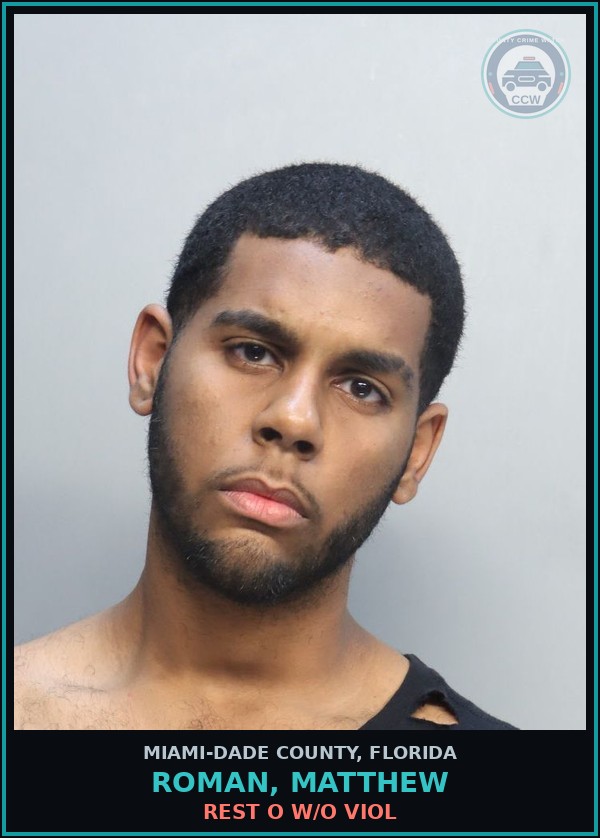 Booking mugshot of ROMAN, MATTHEW in Miami-Dade County