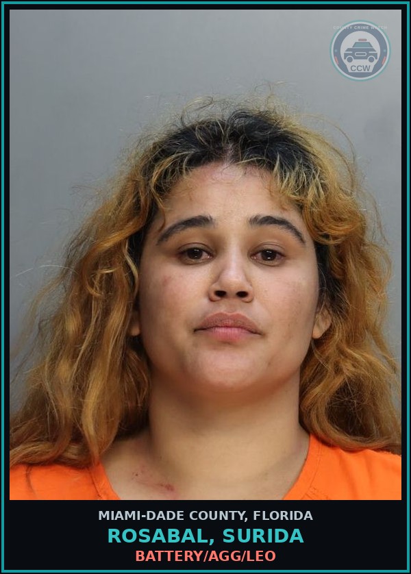 Booking mugshot of ROSABAL, SURIDA in Miami-Dade County
