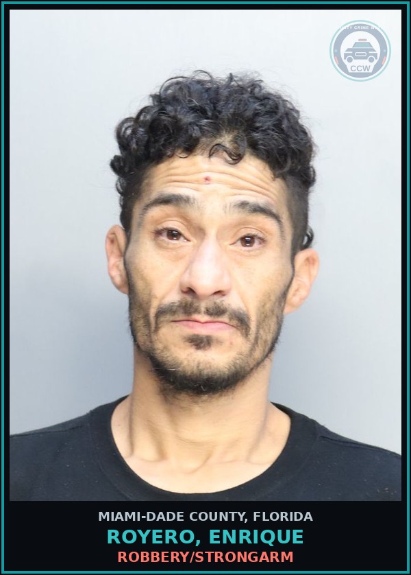 Booking mugshot of ROYERO, ENRIQUE in Miami-Dade County