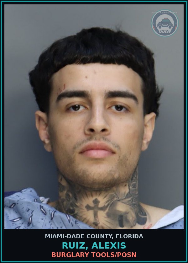 Booking mugshot of RUIZ, ALEXIS in Miami-Dade County