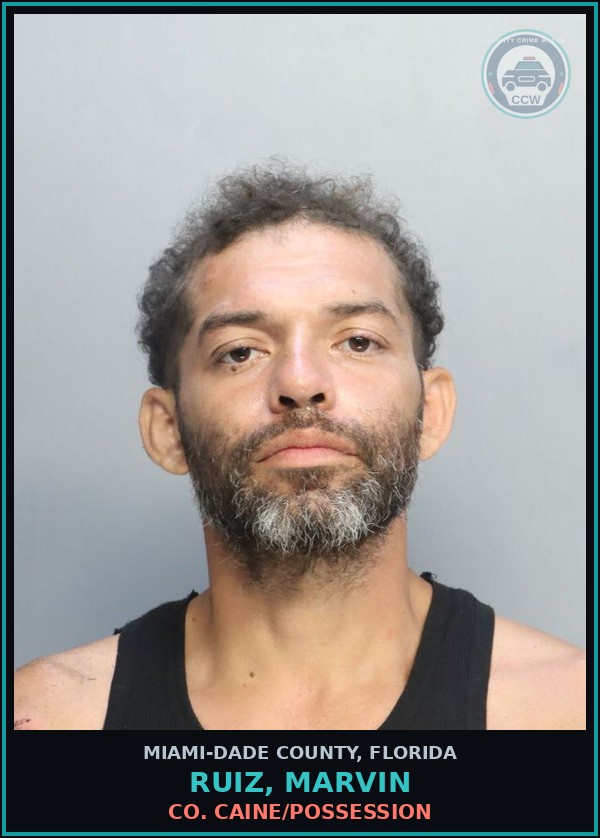 Booking mugshot of RUIZ, MARVIN in Miami-Dade County