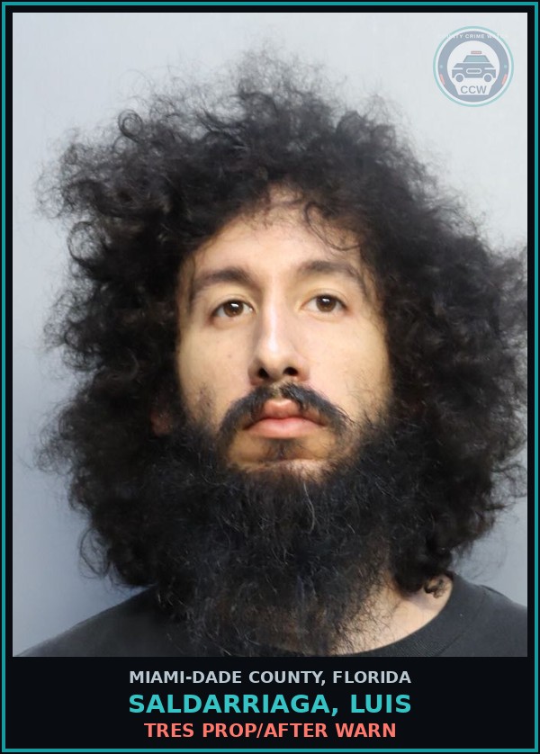 Booking mugshot of SALDARRIAGA, LUIS in Miami-Dade County