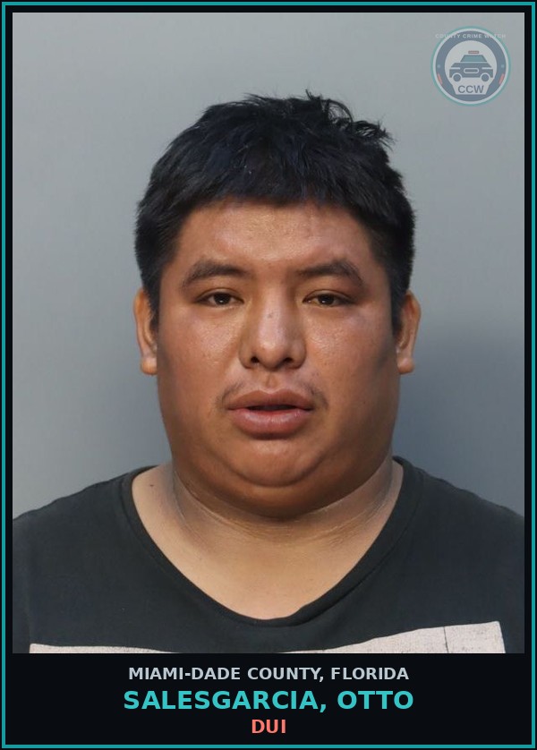 Booking mugshot of SALESGARCIA, OTTO in Miami-Dade County