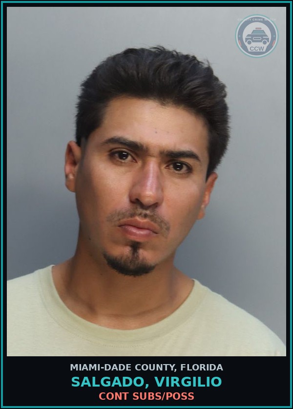 Booking mugshot of SALGADO, VIRGILIO in Miami-Dade County