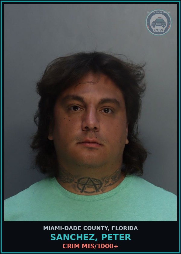 Booking mugshot of SANCHEZ, PETER in Miami-Dade County