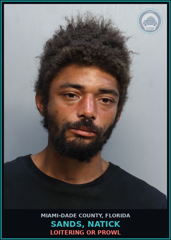 Booking mugshot of SANDS, NATICK in Miami-Dade County