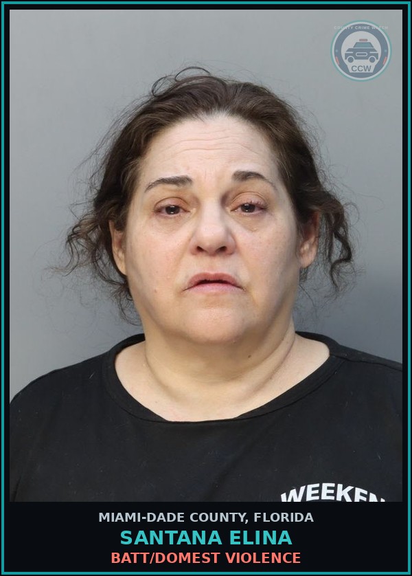 Booking mugshot of SANTANA ELINA in Miami-Dade County