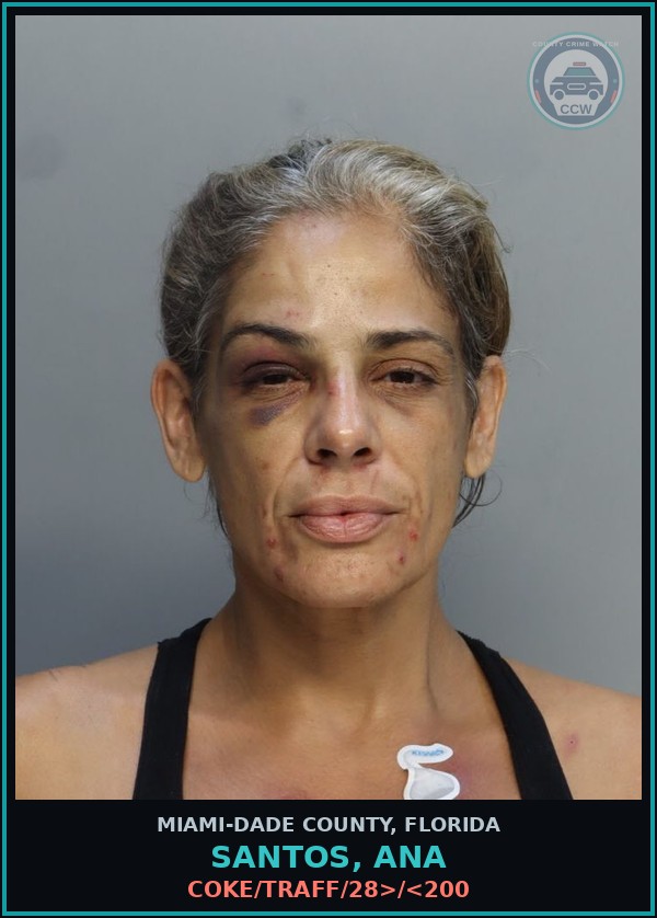 Booking mugshot of SANTOS, ANA in Miami-Dade County