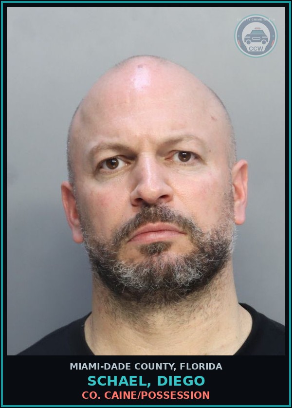 Booking mugshot of SCHAEL, DIEGO in Miami-Dade County