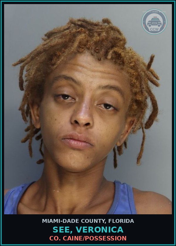 Booking mugshot of SEE, VERONICA in Miami-Dade County