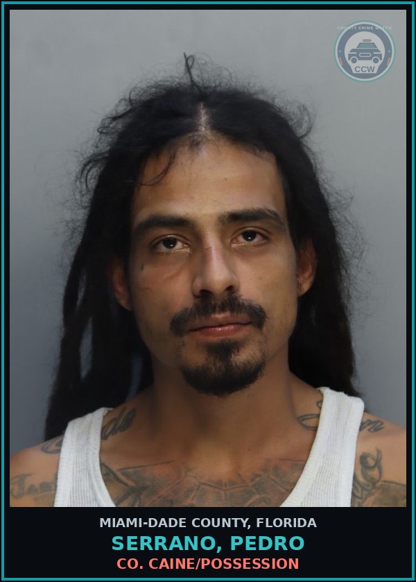 Booking mugshot of SERRANO, PEDRO in Miami-Dade County