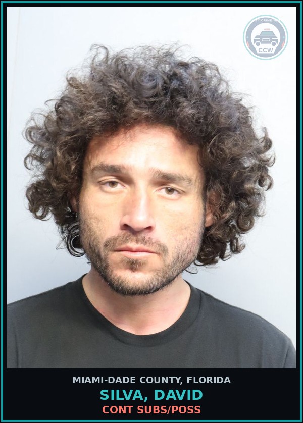 Booking mugshot of SILVA, DAVID in Miami-Dade County