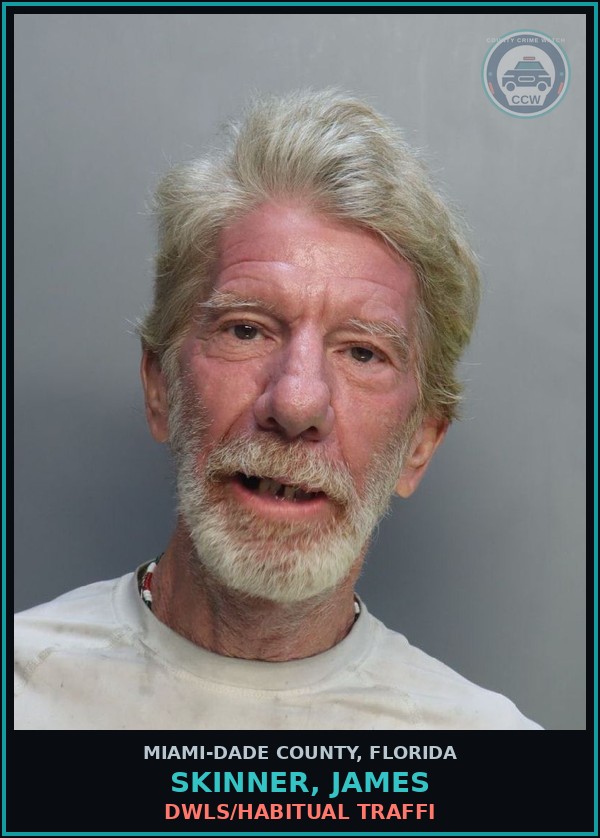 Booking mugshot of SKINNER, JAMES in Miami-Dade County