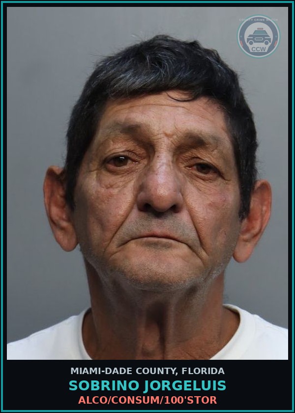 Booking mugshot of SOBRINO JORGELUIS in Miami-Dade County