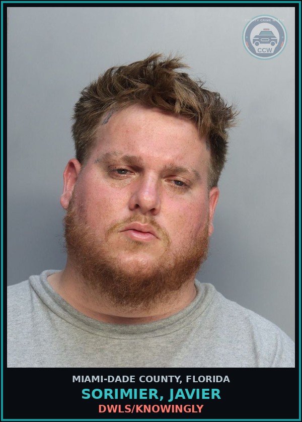 Booking mugshot of SORIMIER, JAVIER in Miami-Dade County