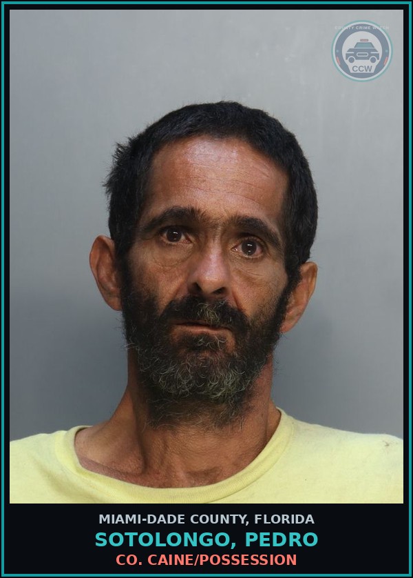Booking mugshot of SOTOLONGO, PEDRO in Miami-Dade County