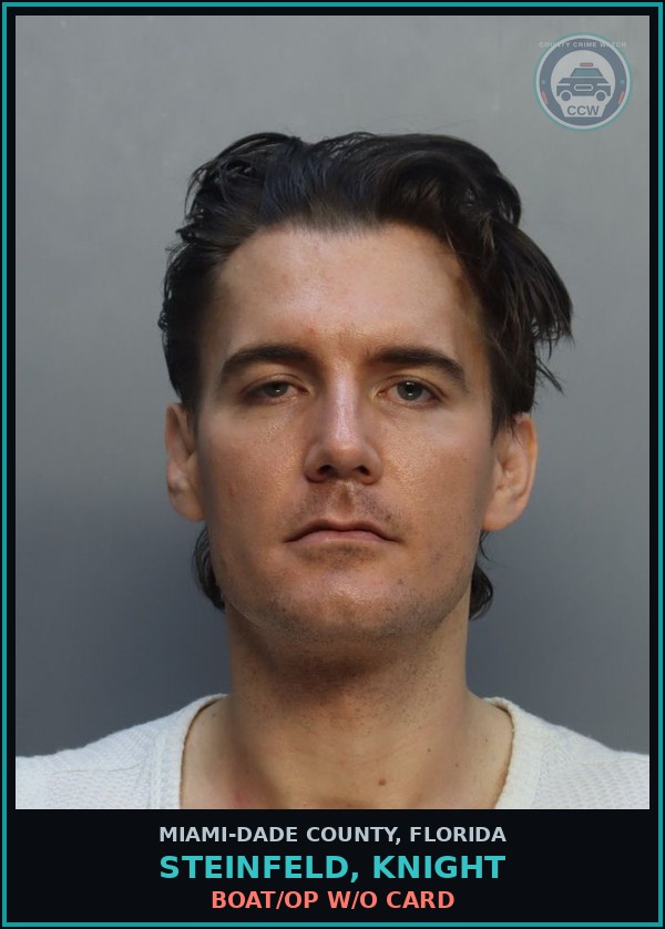 Booking mugshot of STEINFELD, KNIGHT in Miami-Dade County