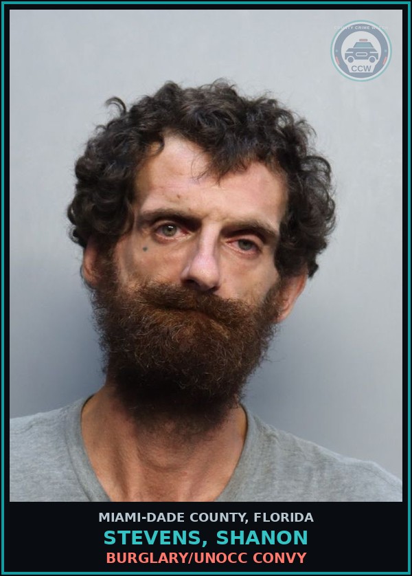 Booking mugshot of STEVENS, SHANON in Miami-Dade County