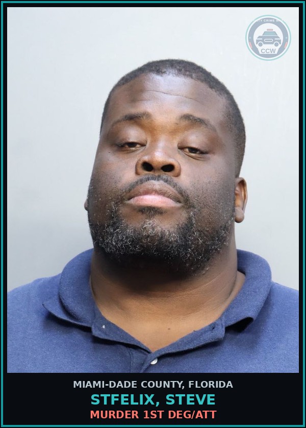 Booking mugshot of STFELIX, STEVE in Miami-Dade County