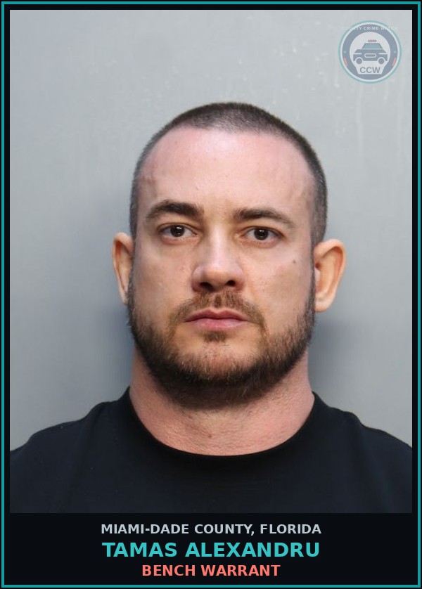 Booking mugshot of TAMAS ALEXANDRU in Miami-Dade County