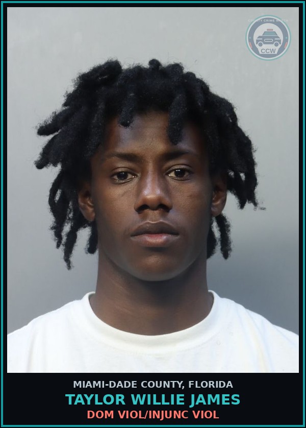 Booking mugshot of TAYLOR WILLIE  JAMES in Miami-Dade County