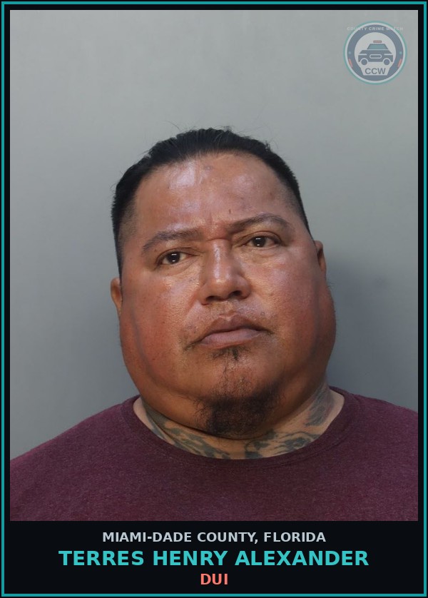 Booking mugshot of TERRES HENRY  ALEXANDER in Miami-Dade County
