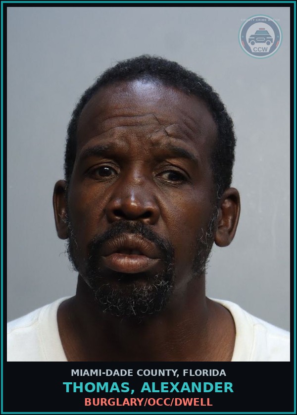 Booking mugshot of THOMAS, ALEXANDER in Miami-Dade County
