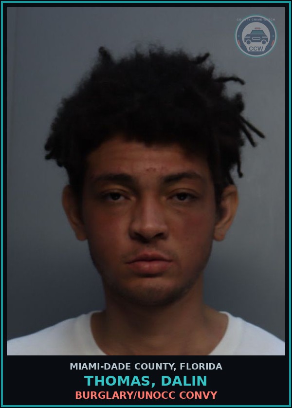 Booking mugshot of THOMAS, DALIN in Miami-Dade County