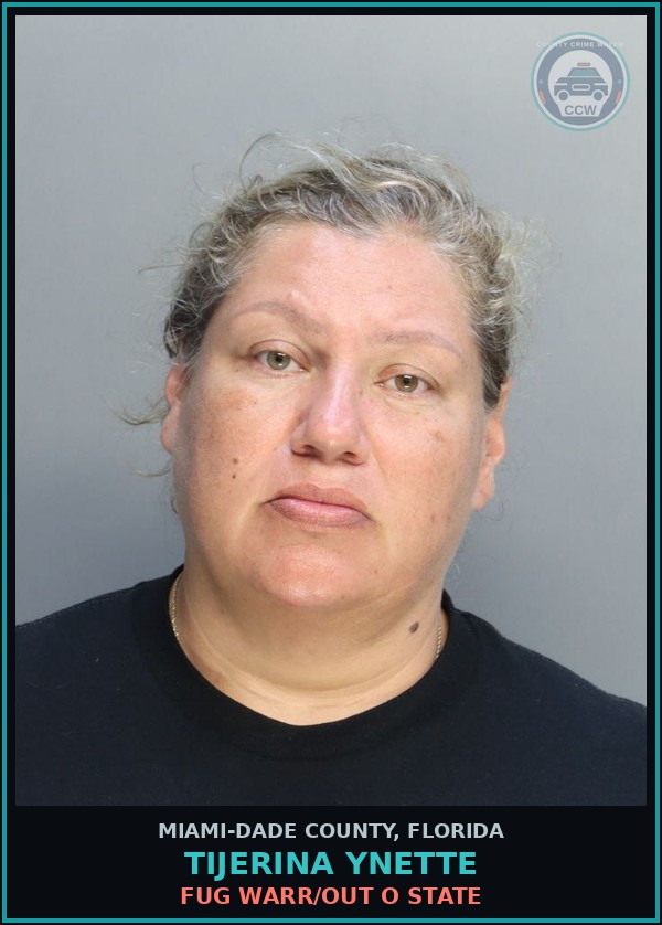 Booking mugshot of TIJERINA YNETTE in Miami-Dade County