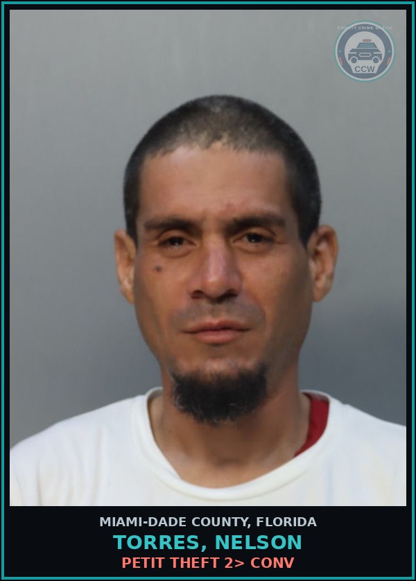 Booking mugshot of TORRES, NELSON in Miami-Dade County