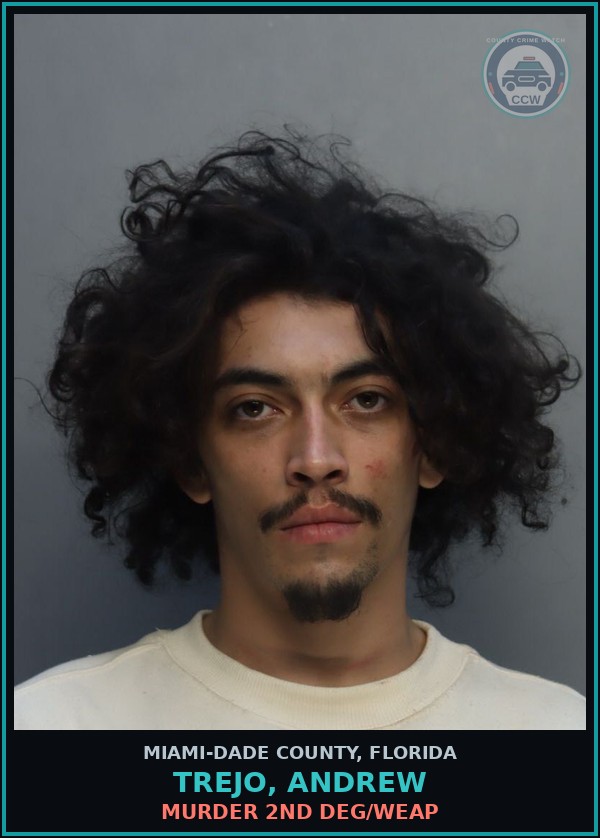 Booking mugshot of TREJO, ANDREW in Miami-Dade County