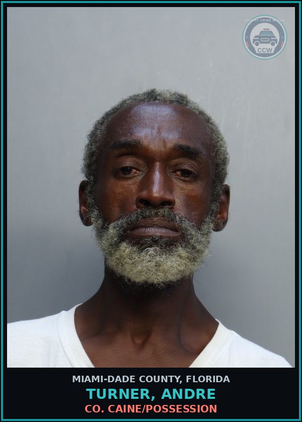 Booking mugshot of TURNER, ANDRE in Miami-Dade County