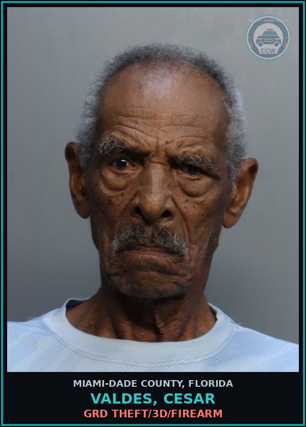Booking mugshot of VALDES, CESAR in Miami-Dade County