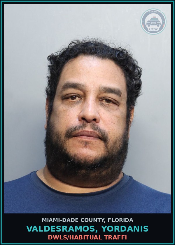 Booking mugshot of VALDESRAMOS, YORDANIS in Miami-Dade County