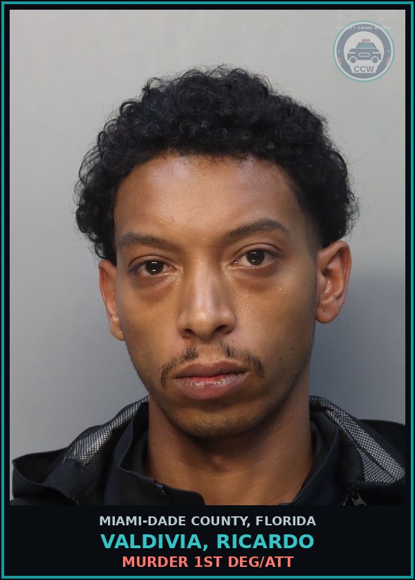 Booking mugshot of VALDIVIA, RICARDO in Miami-Dade County