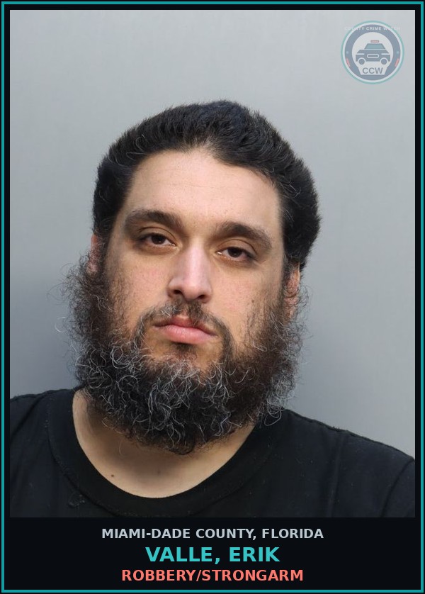 Booking mugshot of VALLE, ERIK in Miami-Dade County