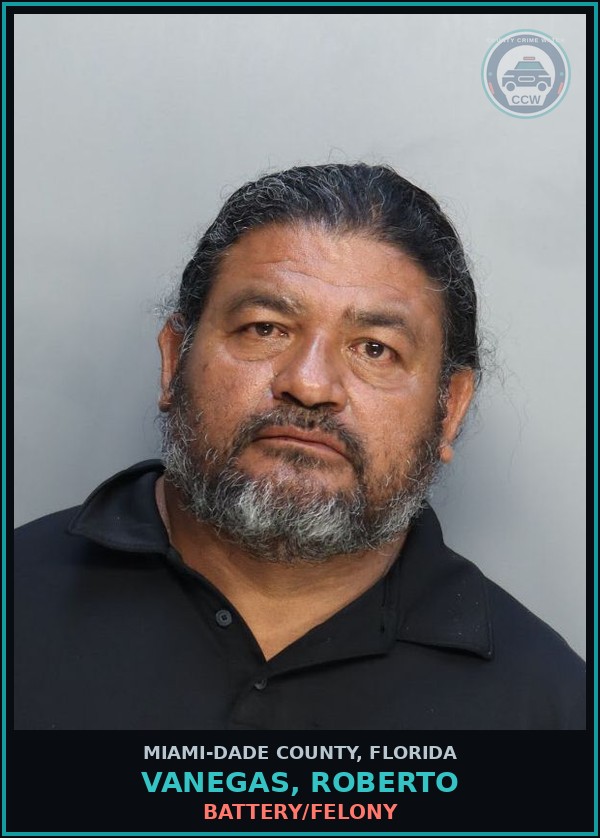 Booking mugshot of VANEGAS, ROBERTO in Miami-Dade County