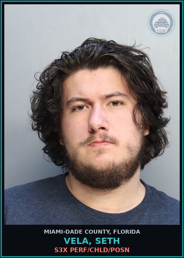 Booking mugshot of VELA, SETH in Miami-Dade County