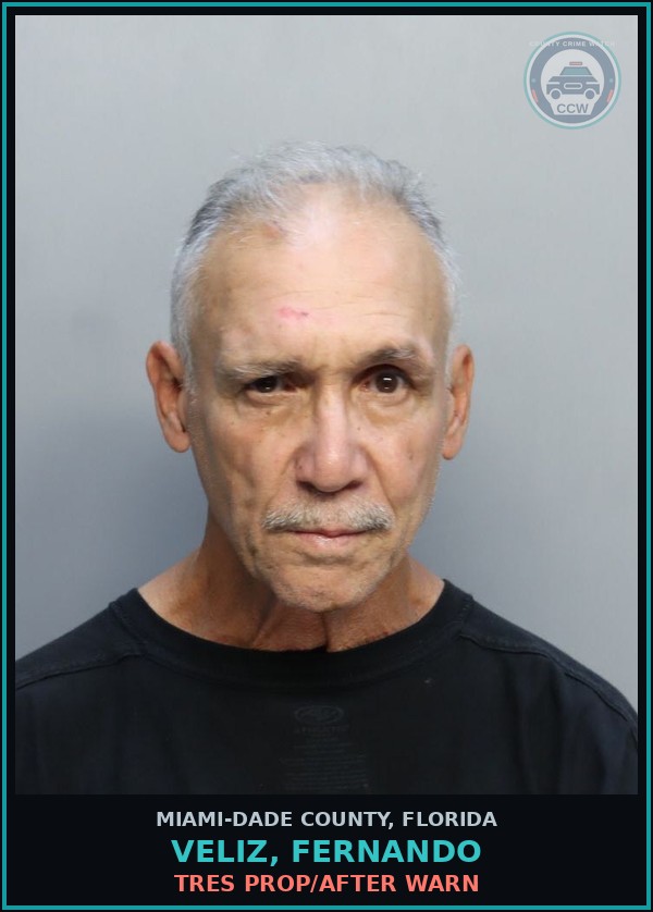 Booking mugshot of VELIZ, FERNANDO in Miami-Dade County