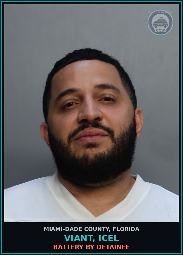 Booking mugshot of VIANT, ICEL in Miami-Dade County