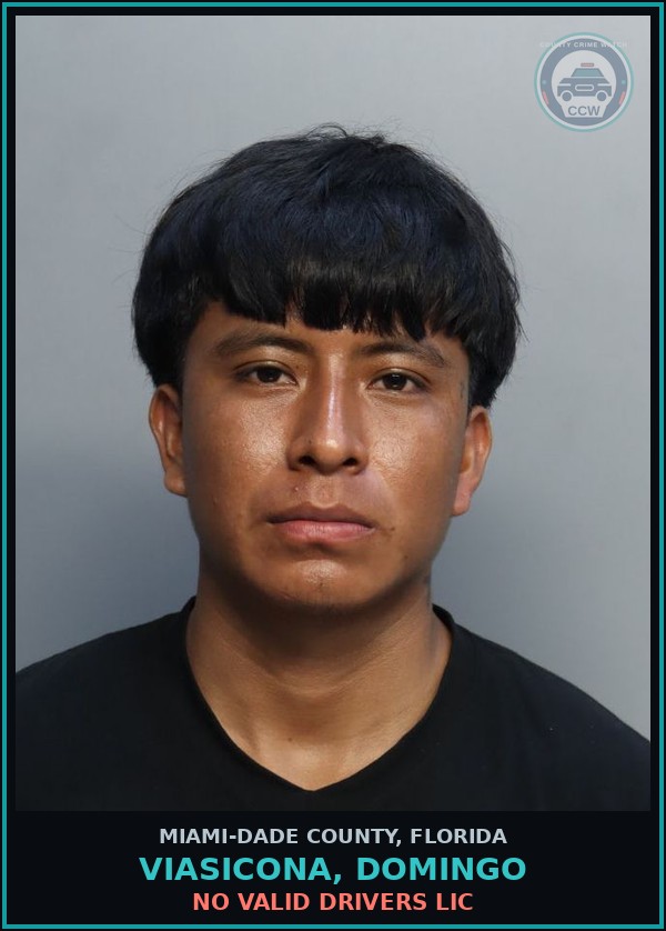 Booking mugshot of VIASICONA, DOMINGO in Miami-Dade County