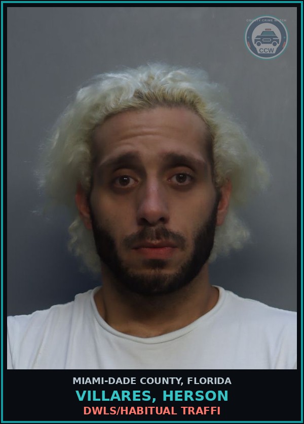Booking mugshot of VILLARES, HERSON in Miami-Dade County