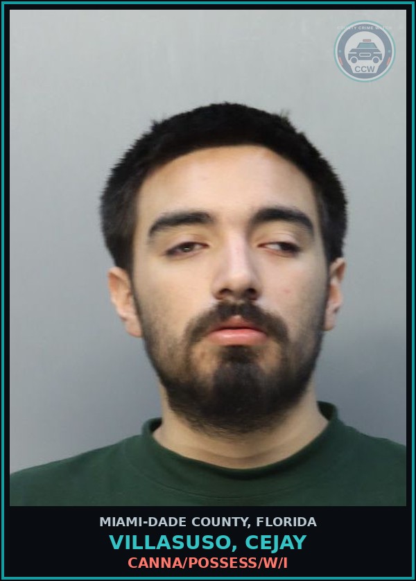 Booking mugshot of VILLASUSO, CEJAY in Miami-Dade County