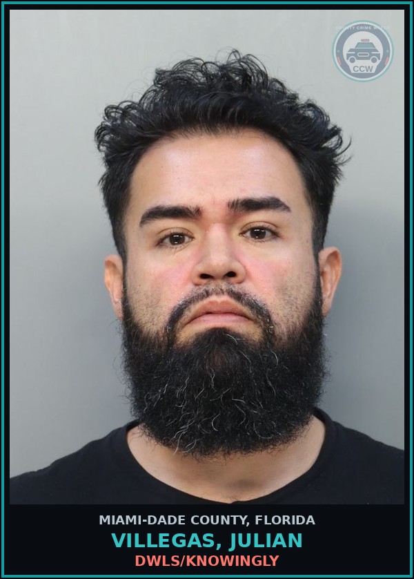 Booking mugshot of VILLEGAS, JULIAN in Miami-Dade County