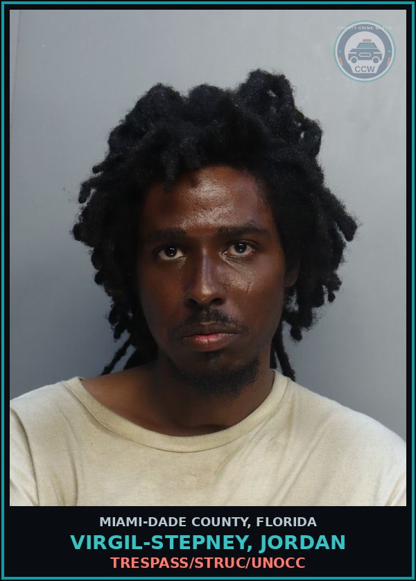 Booking mugshot of VIRGIL-STEPNEY, JORDAN in Miami-Dade County