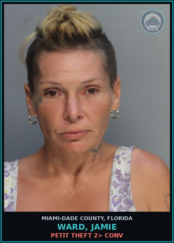 Booking mugshot of WARD, JAMIE in Miami-Dade County