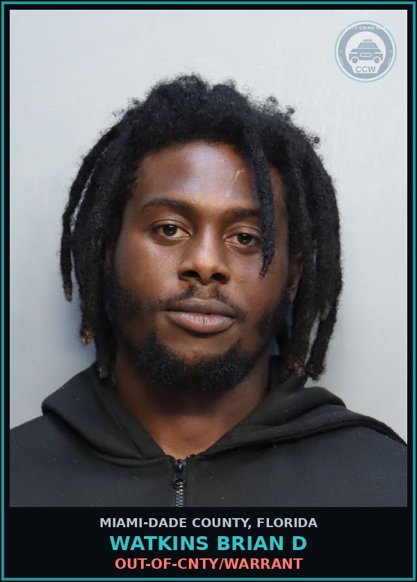 Booking mugshot of WATKINS BRIAN  D in Miami-Dade County