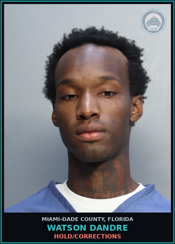 Booking mugshot of WATSON DANDRE in Miami-Dade County